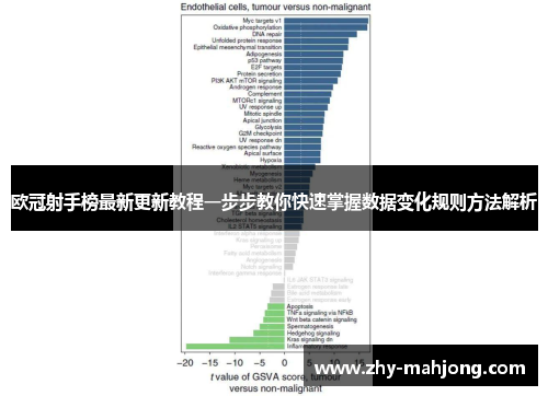 欧冠射手榜最新更新教程一步步教你快速掌握数据变化规则方法解析 欧冠射手榜最新更新教程一步步教你快速掌握数据变化规则方法解析