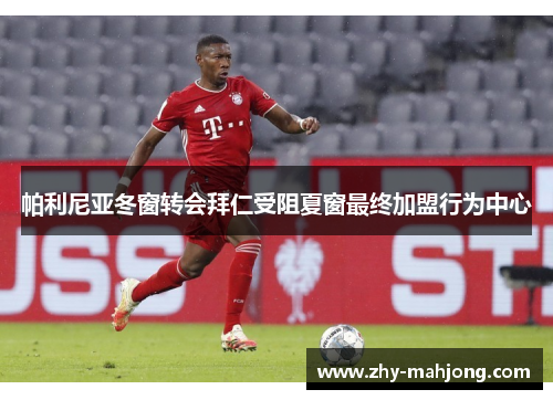 帕利尼亚冬窗转会拜仁受阻夏窗最终加盟行为中心 帕利尼亚冬窗转会拜仁受阻夏窗最终加盟行为中心